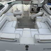 2006 Stingray 220DR